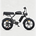 Black-M1 Motorcycle-styled Electric Bike