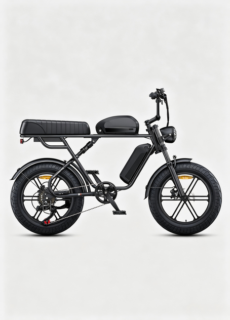 M1 Motorcycle-styled Electric Bike