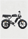 M1 Motorcycle-styled Electric Bike