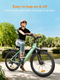 MileCity 1 Bicicleta eléctrica Range City