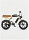 M1 Motorcycle-styled Electric Bike