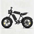 Black-M20 Motorcycle-styled Electric Bike