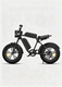 M20 Motorcycle-styled Electric Bike