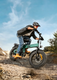 Bicicleta eléctrica EP-2 3.0 Boost