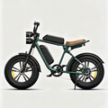 Green-M20 Motorcycle-styled Electric Bike