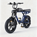 Navi Blue-M1 Motorcycle-styled Electric Bike