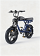 M1 Motorcycle-styled Electric Bike