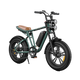 M20 Motorcycle-styled Electric Bike